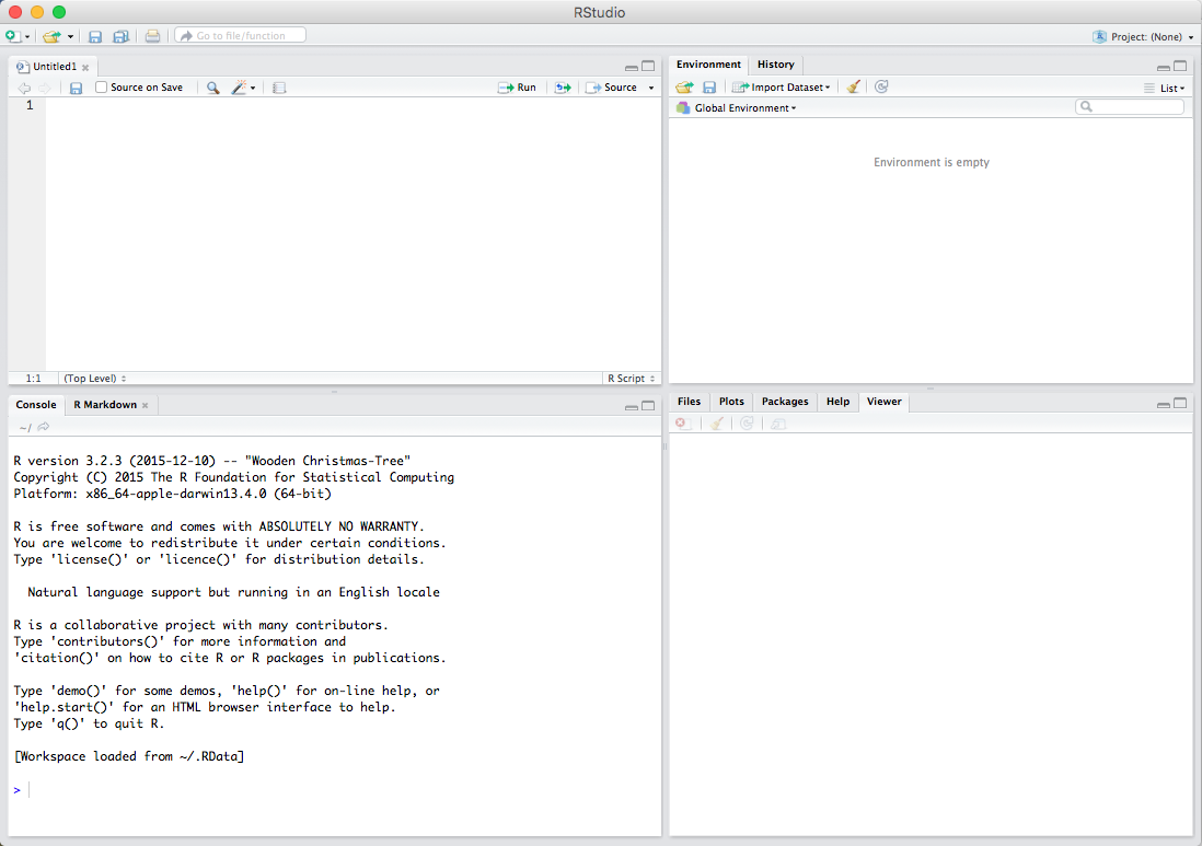 R Studio Window